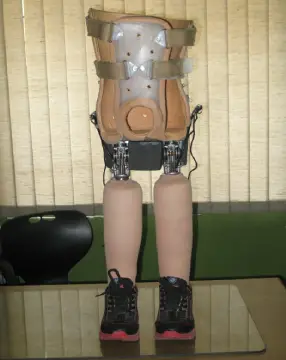 Prosthetic Aid